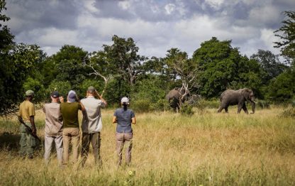 Montebelo Gorongosa Lodge & Safari - Image 12